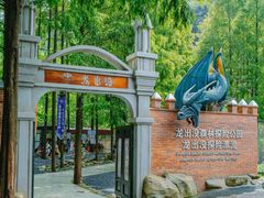 -安吉龙王山峡谷漂流