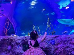 -沈阳海洋探索中心