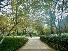 -龙头寺公园