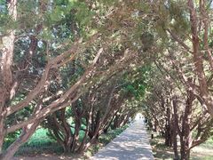 -洛阳古墓博物馆