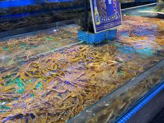 -驻海渔市(置信店)