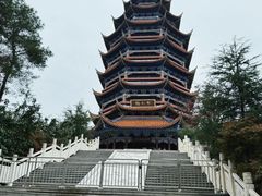 -铁山坪森林公园