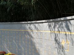-菊花台公园