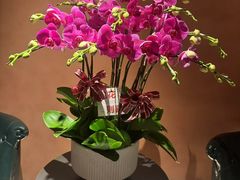 -霖公馆SPA·足道(普善路店)