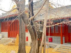 -承恩寺