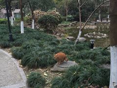 -新湖明珠城