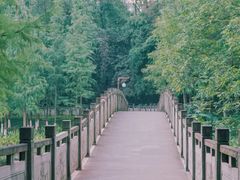 -重庆彩云湖湿地公园