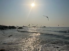 -老虎石海上公园