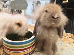 -凯德广场(武胜路店)