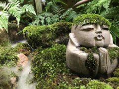-植觉