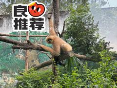 -成都动物园