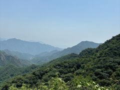 -大岭沟猕猴桃谷风景区