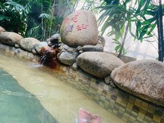 -三江森林温泉度假区