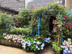 -桂林市花鸟市场