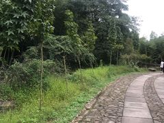 -黄公望隐居地