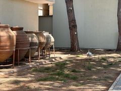 -安塔利亚博物馆