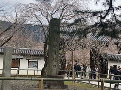 -醍醐寺