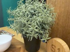 -玲珑小镇·杭帮私房菜