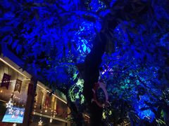 -爵士花园音乐酒吧餐厅