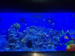 -海合安成都极地海洋公园