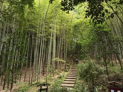 -杭州黄龙洞