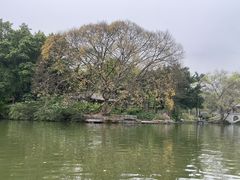 -柳侯公园