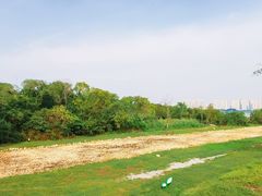 -盘龙城国家考古遗址公园