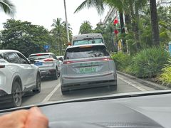 -西双版纳原始森林公园