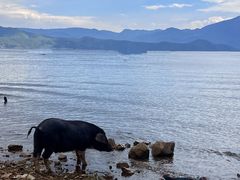 -丽江泸沽湖景区