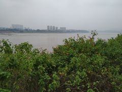 -张坝桂圆林公园