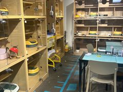 -大型宠物商超·宠海王国·宠物猫狗活体·用品·美容(新世界百货重庆店)