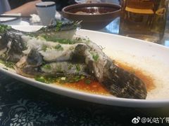 -醉南拳客家菜·河田鸡(西禅寺杨桥店)