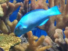 -多彩贵州城极地海洋世界