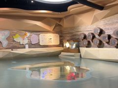 -陕西自然博物馆