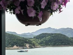 -望湖烤鱼