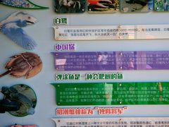 -北海金海湾红树林生态旅游区