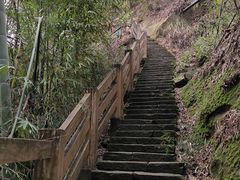 -缙云山景区