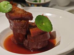 -羲和雅苑•北京烤鸭(国贸商城店)