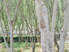 -南长河公园
