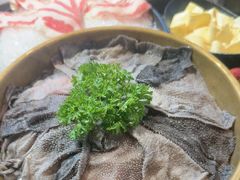 -蜀香居鲜毛肚火锅