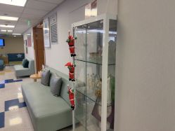 -杭州贝瑞斯美华妇儿医院·早孕·产检·儿科