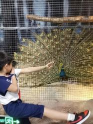 -酷嗒动物文化乐园(cutezoo西溪乐天城店)