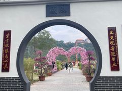 -东莞观音山旅游风景区