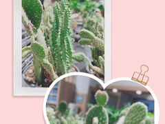 -鹿岛会员店 (龙湖三千集天街店)