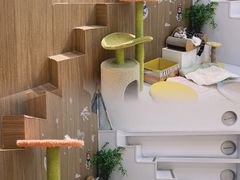 -COLOR PETS 撸猫馆·购猫·猫咖(长风大悦城店)