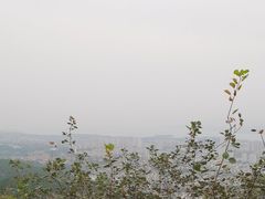 -府君山公园