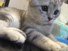-黄记煌三汁焖锅(新世纪广场店)