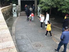 -普陀山风景区-佛顶山