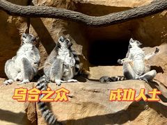 -北京野生动物园