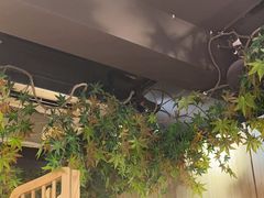 -望庐说·本地菜馆